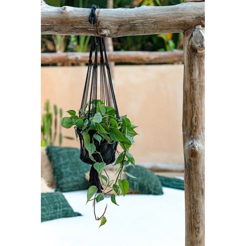 Porte plante original à suspendre Macramé Diamètre 20 cm en Coton Noir The Macrame 