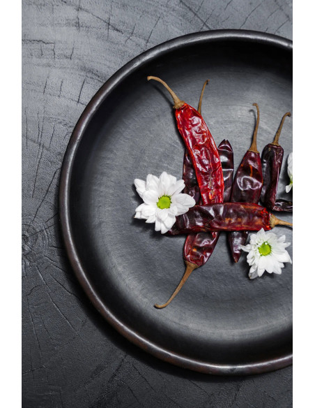 Assiette plate indonésienne Ronde 26 cm Terre cuite Noir The Burned 