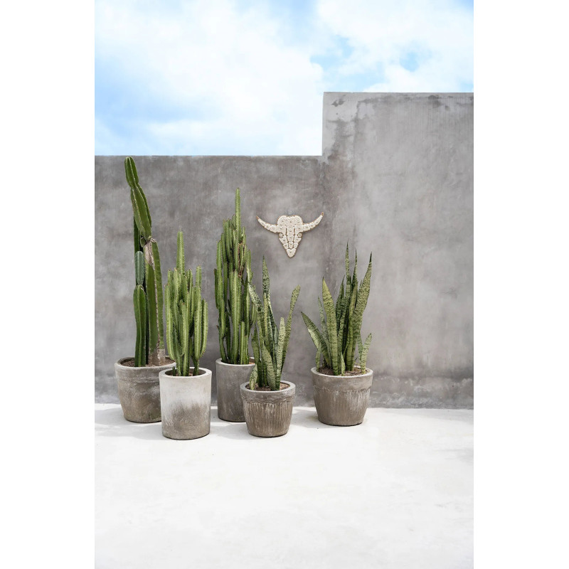 Décoration murale originale Tête de taureau Hauteur 40 cm en Coquillage Blanc The Shell 