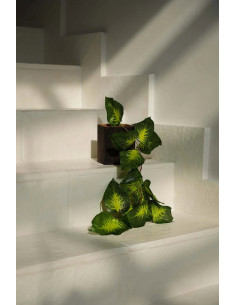 Vase Carré Hauteur 14 cm en Bois de teck Noir Naturel The Bondi 