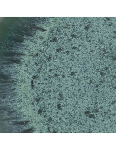 Assiette plate ronde 22 cm Grès Bleu The Aqua 