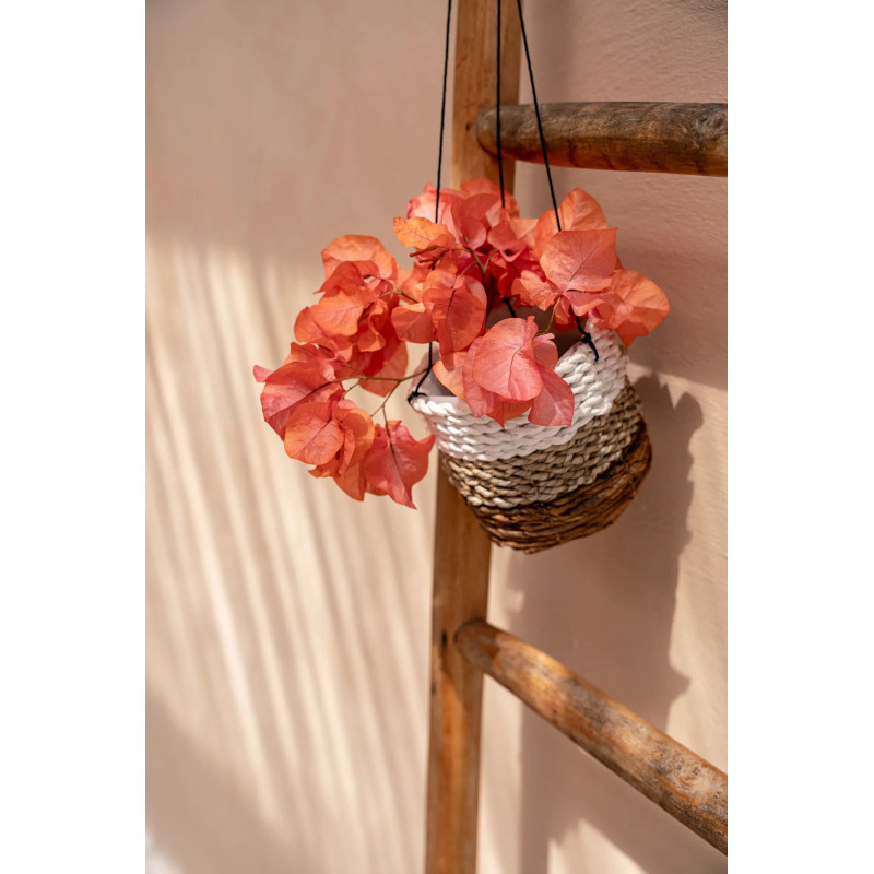 Porte plante original à suspendre Diamètre 11 cm en Feuille de bananier Naturel Blanc The Banana 