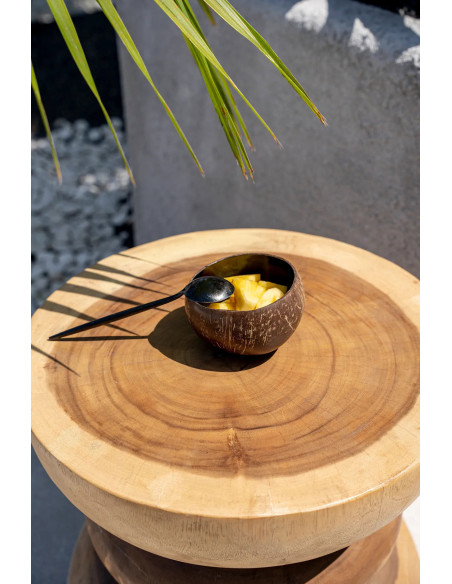 Bol originale rond 13 cm en Noix de coco Naturel Noir Laqué The Coco 