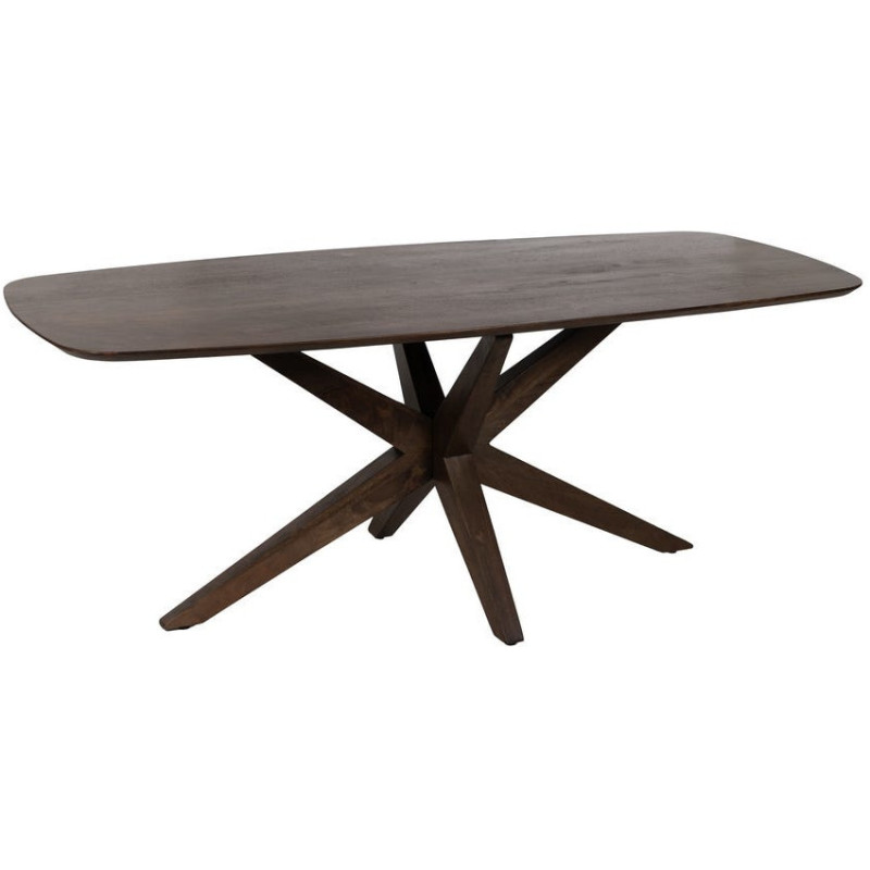 Grande Table à manger design moderne piètement sculptural Rectangulaire 6 personnes 200 cm Bois de manguier Marron Xandora 