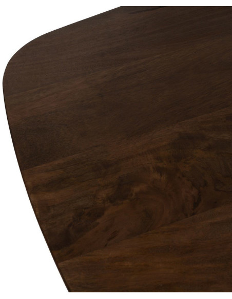 Grande Table à manger design moderne piètement sculptural Rectangulaire 6 personnes 200 cm Bois de manguier Marron Xandora 