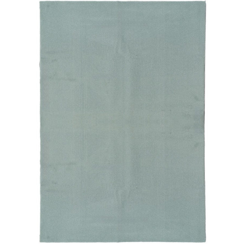 Grand Tapis XXL style cocooning moderne Rectangulaire 200x300 Tissu Vert Albiga