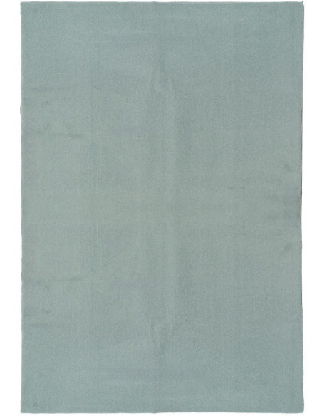 Grand Tapis XXL style cocooning moderne Rectangulaire 200x300 Tissu Vert Albiga