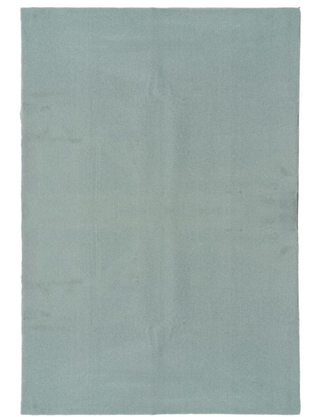 Grand Tapis style cocooning moderne Rectangulaire 160x230 Tissu Vert Albiga