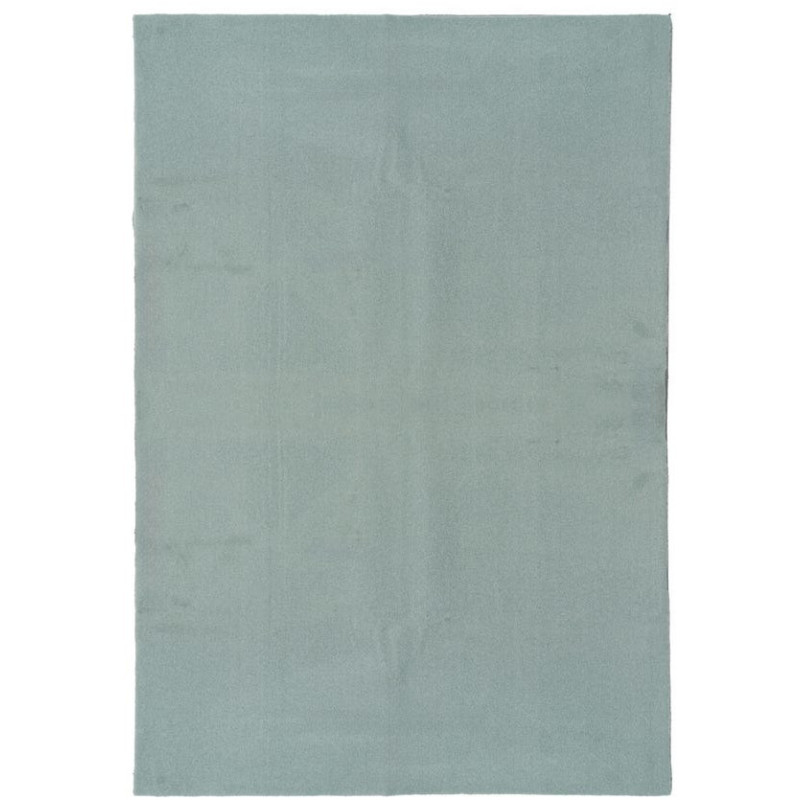 Grand Tapis style cocooning moderne Rectangulaire 160x230 Tissu Vert Albiga