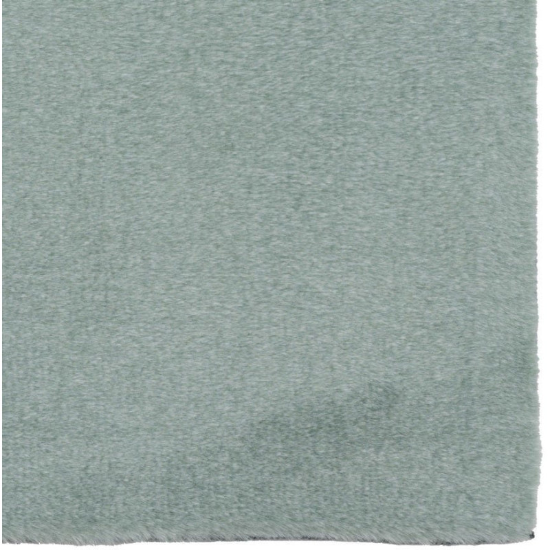 Grand Tapis style cocooning moderne Rectangulaire 160x230 Tissu Vert Albiga 