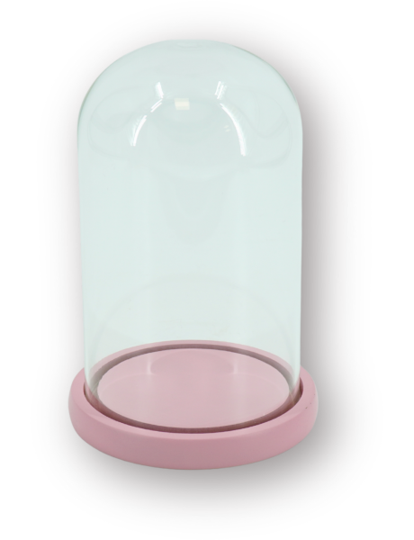 Cloche décorative moderne H 22 cm Verre Transparent Bois MDF Rose clair Bell Jar 