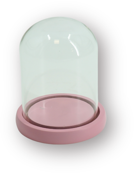 Cloche décorative moderne H 15 cm Verre Transparent Bois MDF Rose clair Bell Jar 