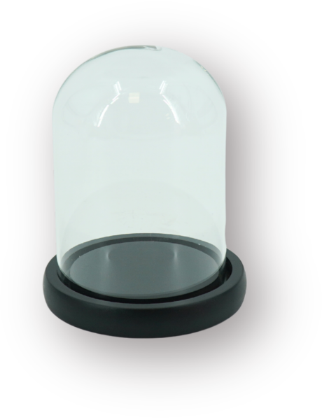 Cloche décorative moderne H 15 cm Verre Transparent Bois MDF Noir Bell Jar 