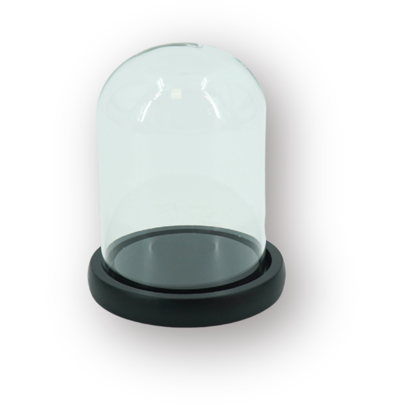 Cloche décorative moderne H 15 cm Verre Transparent Bois MDF Noir Bell Jar 