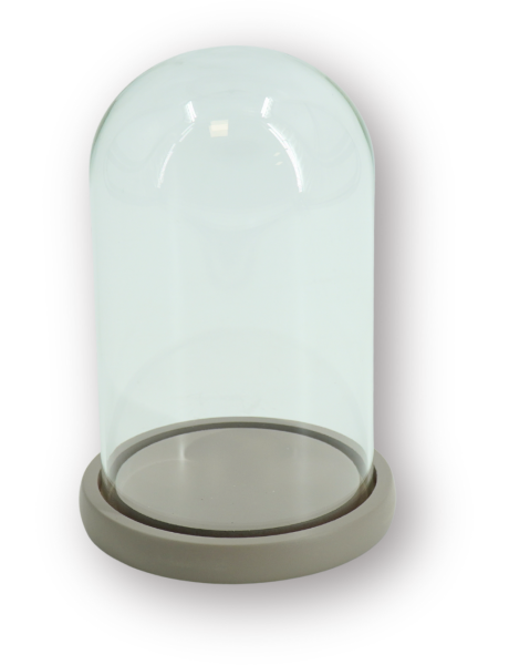 Cloche décorative moderne H 22 cm Verre Transparent Bois MDF Sable Bell Jar 