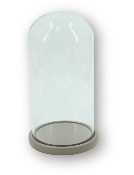 Cloche décorative moderne H 32 cm Verre Transparent Bois MDF Sable Bell Jar 