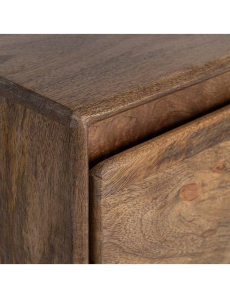 Console moderne chic Rectangulaire 2 tiroirs 2 étagères 100 cm Bois de manguier Marron Naturma 