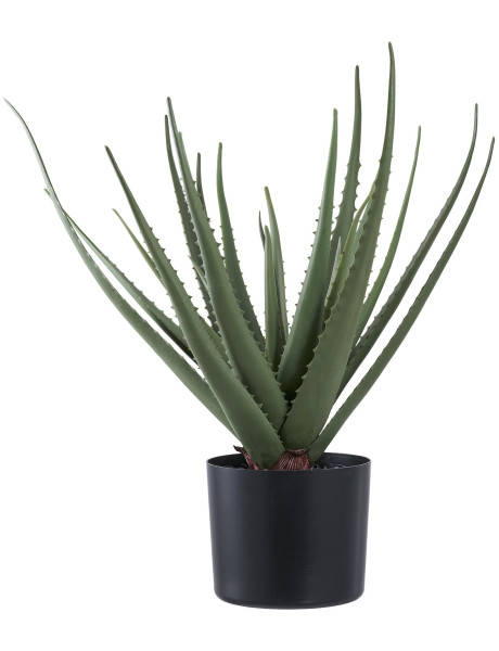 Plante artificielle réaliste Aloe Vera Hauteur 51 cm Plastique Vert 