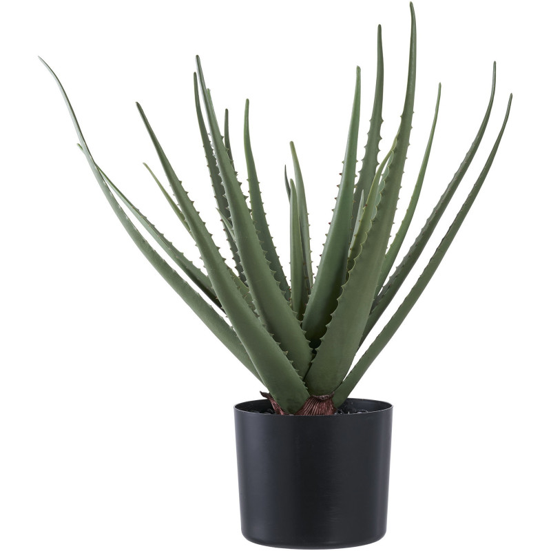 Plante artificielle réaliste Aloe Vera Hauteur 51 cm Plastique Vert 