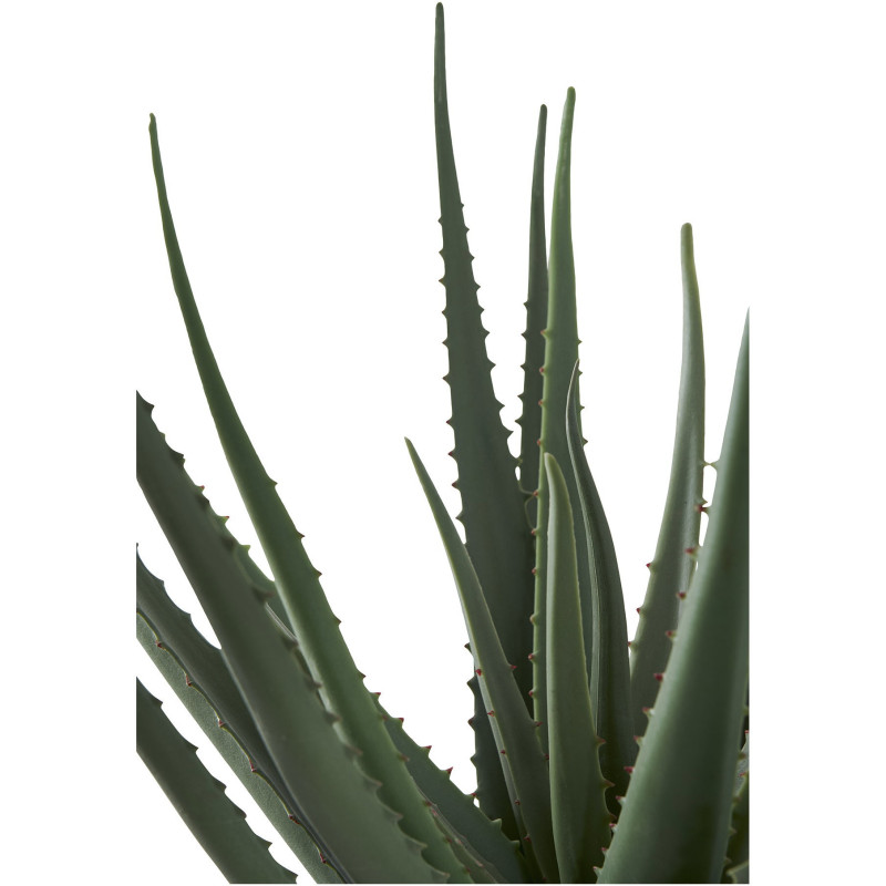 Plante artificielle réaliste Aloe Vera Hauteur 51 cm Plastique Vert 