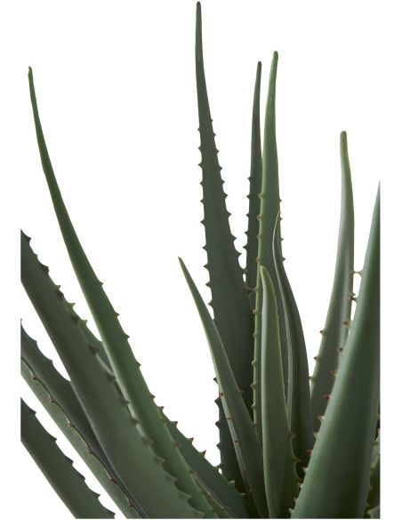 Plante artificielle réaliste Aloe Vera Hauteur 51 cm Plastique Vert 