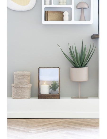 Plante artificielle réaliste Aloe Vera Hauteur 51 cm Plastique Vert 