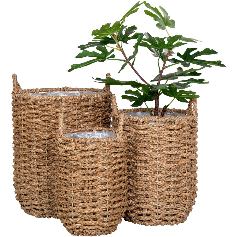 Hue Baskets - Baskets, seagrass, nature set of 3 