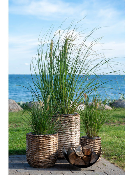 Hanoi Flowerpot - Flowerpot, water hyacinth, natural set of 3 