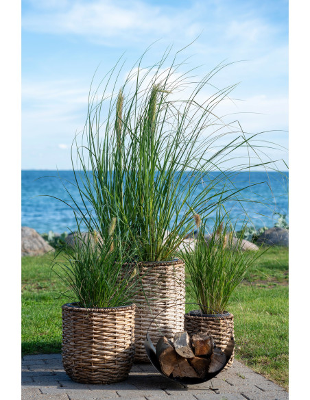 Hanoi Flowerpot - Flowerpot, water hyacinth, natural set of 3 