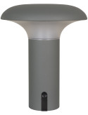Lampe LED de jardin rechargeable grise 21 cm Ramsey