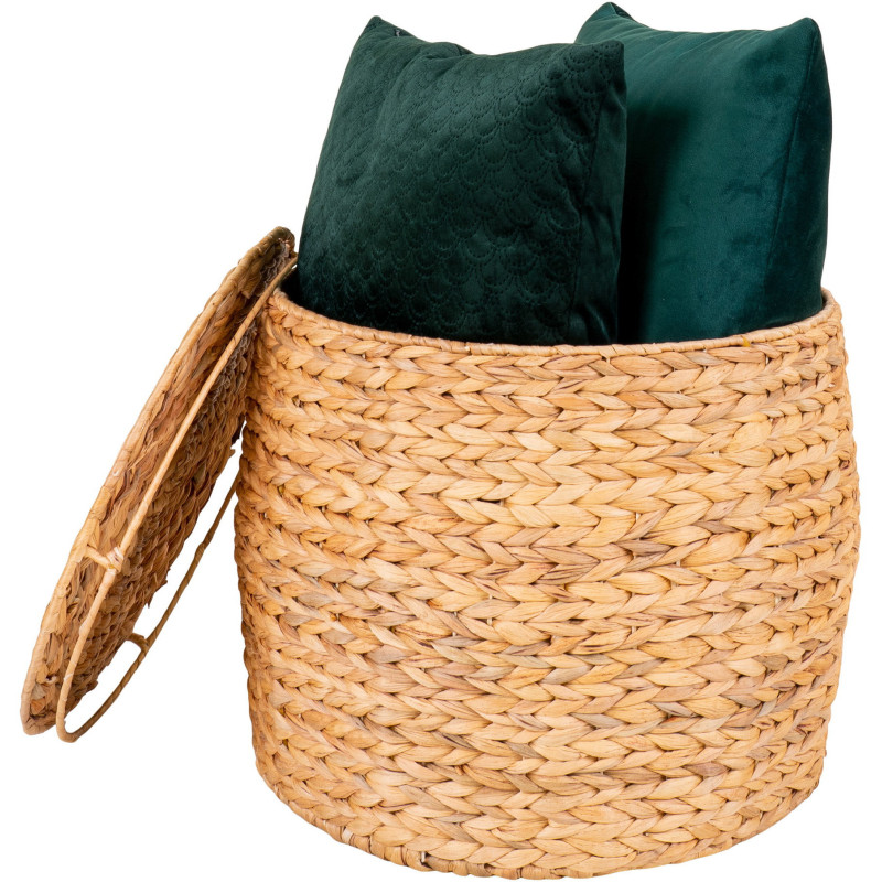 Table d'appoint Coffre rangement Ronde Jacinthe d'eau Naturel Delia 