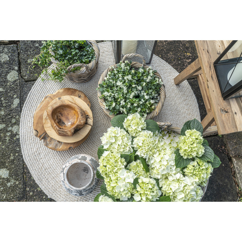 Kuta Baskets - Baskets, kubu rattan, nature set of 3 