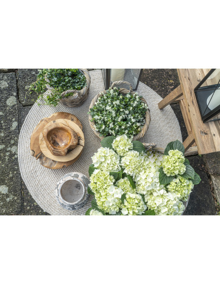 Kuta Baskets - Baskets, kubu rattan, nature set of 3 