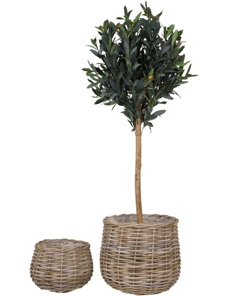 Pulo Baskets - Baskets, kubu rattan, natural set af 2 