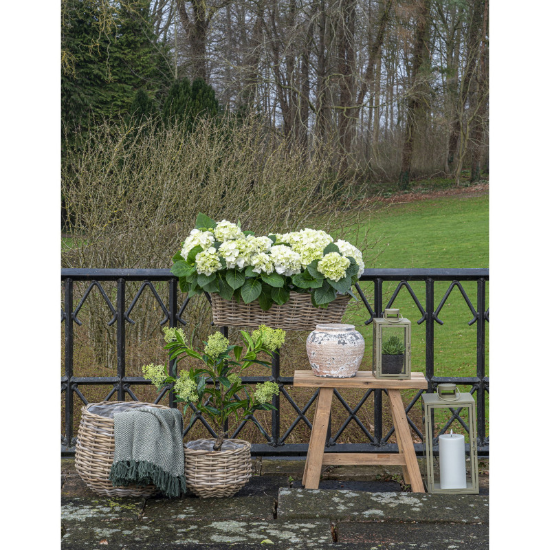 Pulo Baskets - Baskets, kubu rattan, natural set af 2 