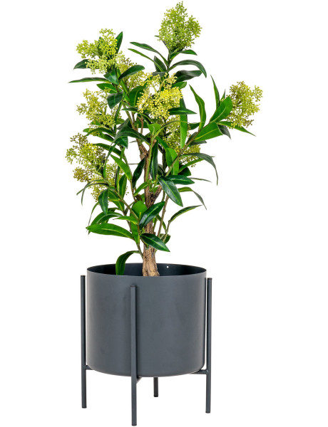 Arbre artificiel réaliste Skimmia Hauteur 75 cm Plastique Vert Noir 