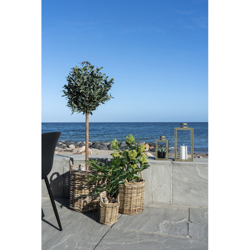 Arbre artificiel réaliste Skimmia Hauteur 75 cm Plastique Vert Noir 