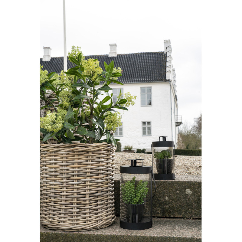 Arbre artificiel réaliste Skimmia Hauteur 75 cm Plastique Vert Noir 