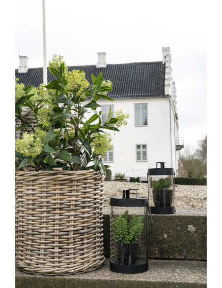 Arbre artificiel réaliste Skimmia Hauteur 75 cm Plastique Vert Noir 