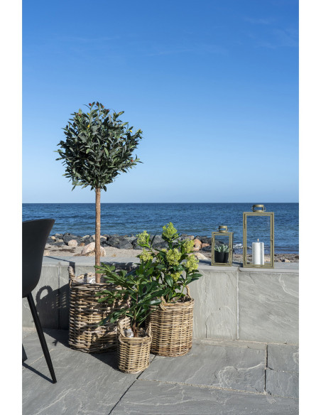 Arbre artificiel réaliste Figuier Hauteur 60 cm Plastique Vert Noir 