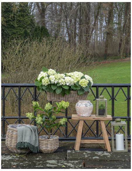 Lanterne Photophore pour bougie Métal Vert Verre Transparent Corfu (Lot de 2) 