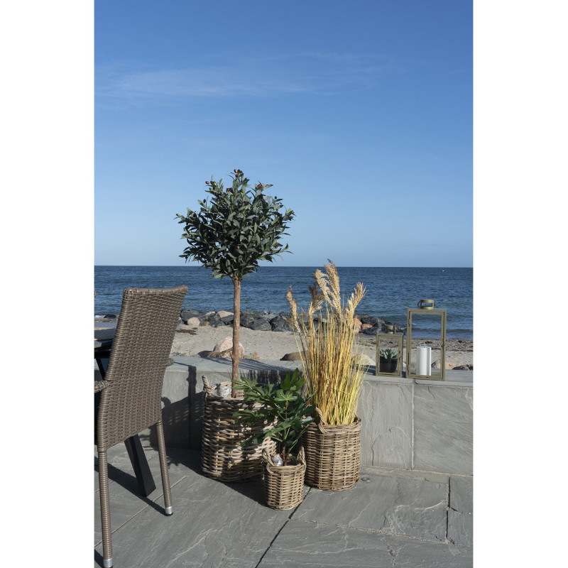 Sema Baskets - Baskets, kubu rattan, natural set of 3 