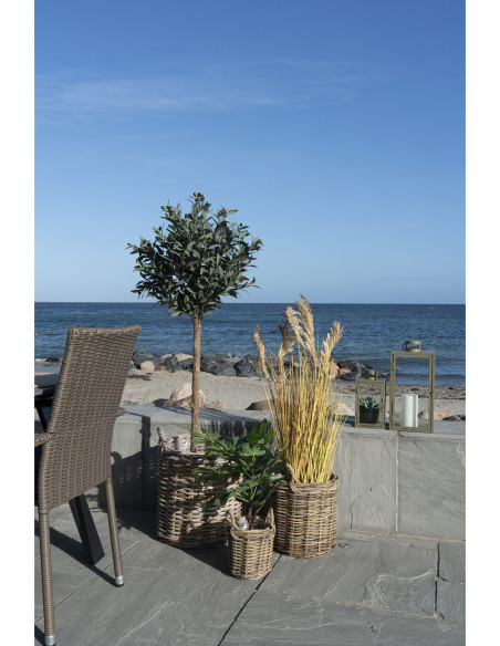 Sema Baskets - Baskets, kubu rattan, natural set of 3 
