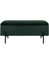 Banquette moderne Coffre de rangement 2 places Velours Vert Métal Noir Watford 