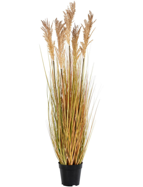 Grande Plante artificielle réaliste Sorghum Hauteur 110 cm Plastique Polyester Naturel Noir 