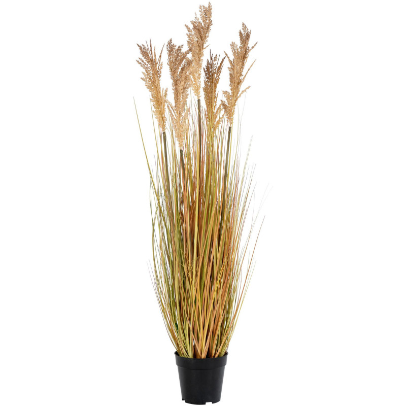 Grande Plante artificielle réaliste Sorghum Hauteur 110 cm Plastique Polyester Naturel Noir 