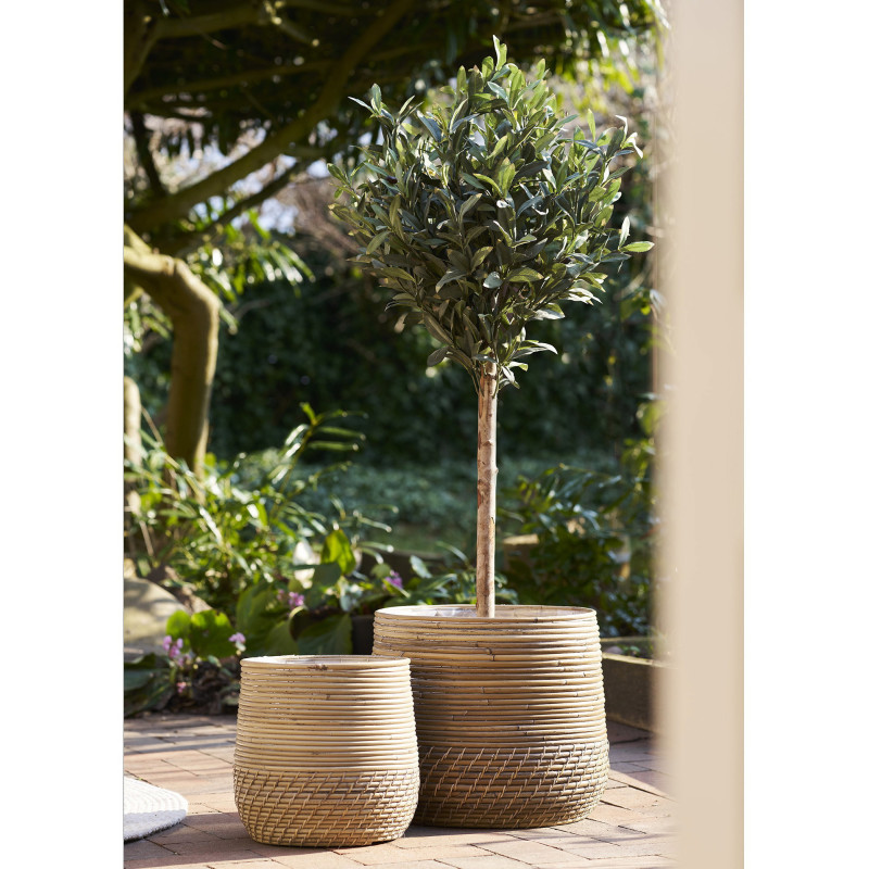 Grand Arbre artificiel réaliste Olivier Hauteur 120 cm Plastique Vert Noir 