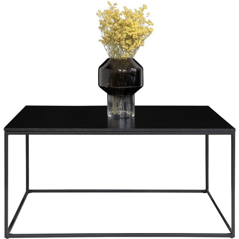 Table basse moderne Rectangulaire Métal Panneau de particules Feuille de mélamine Noir Vita 
