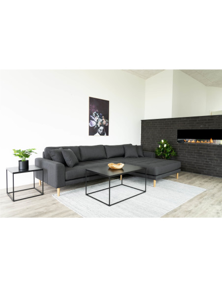 Table basse moderne Rectangulaire Métal Panneau de particules Feuille de mélamine Noir Vita 