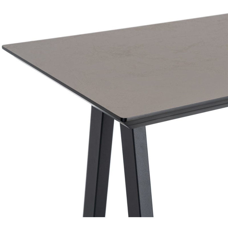 Table haute rectangulaire 138 x 50 x...